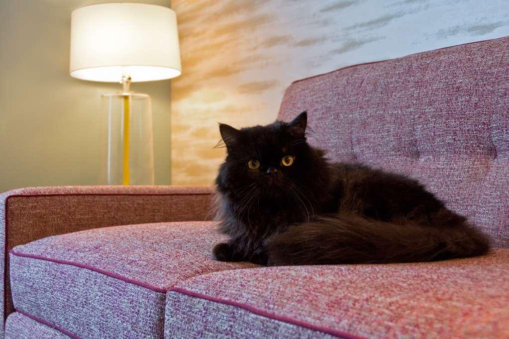 Home2 Suites By Hilton Boston South Bay Pokoj fotografie
